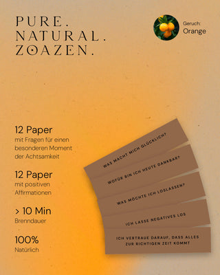 All-in-One Bundle: Zen Paper